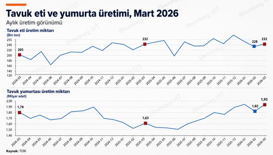 Türkiye’de Tavuk Üretim Verileri – Mart Ayı Değerlendirmesi