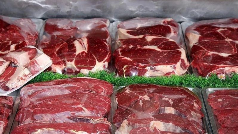Türkiye’de Yapay Et Üretimi ve Tüketimine Yönelik Resmi Perspektif ve Yasal Çerçeve