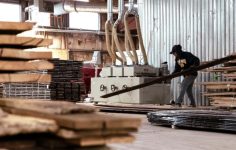 ABD’de PMI Verileri: Üretim ve Hizmet Sektörlerinde İlkbahar Güçlenmesi
