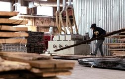 ABD’de PMI Verileri: Üretim ve Hizmet Sektörlerinde İlkbahar Güçlenmesi