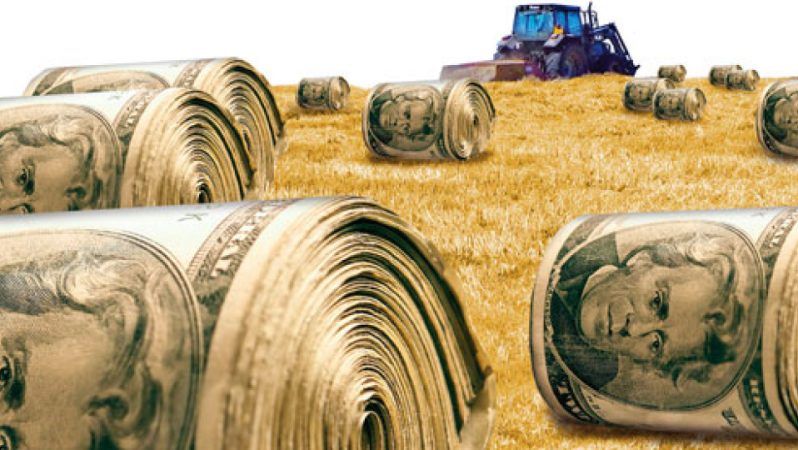 El Nino’nun Finans Dünyasına Sıçrayışı: MCP’nin 500 Milyon Dolarlık Tarımsal Yatırım Fonu