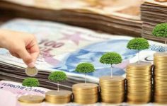 FHGE Haziran Değerlendirme: Hizmet Talebi ve İstihdamdaki Eğilimler