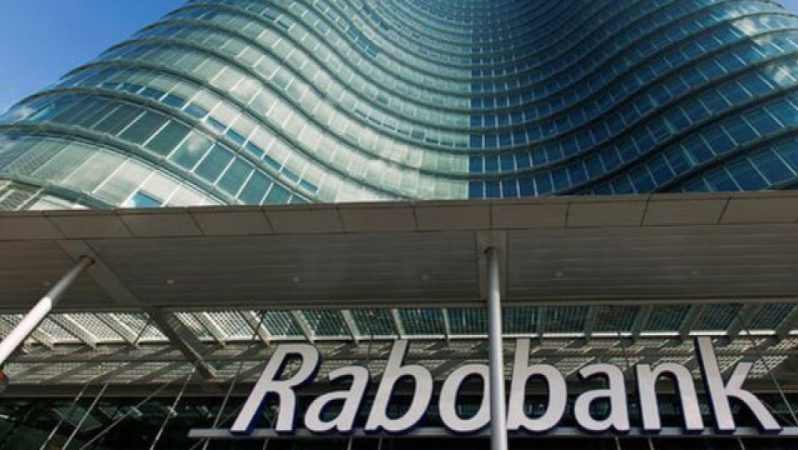 Kaspi.kz Türkiye’de Rabobank Türkiye A.Ş.’yi Satın Alma Onayını BDDK’dan Aldı