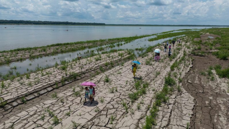 Süper El Nino Riski: Küresel Tahminler ve Tarım Sektörüne Etkileri